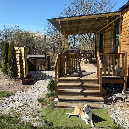 Tiny Beach House Heated And Airconditioned Wapnica  Esterno foto